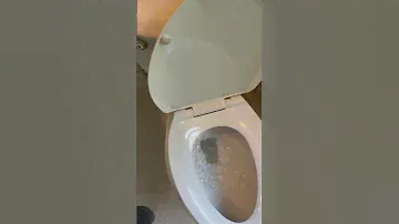American standard reliant toilet at a open house